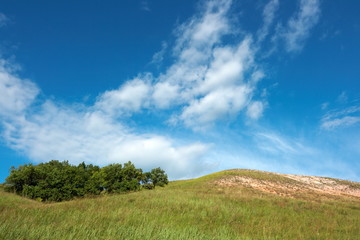 Obraz premium Beautiful summer landscape against a saturated blue sky