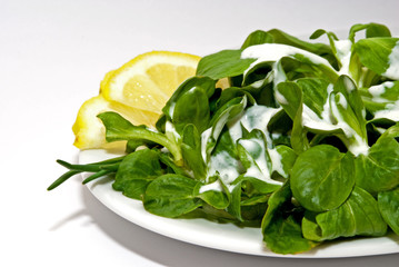 Feldsalat