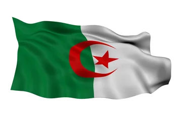 Abwaschbare Fototapete Drapeau Algérien © spirootornade