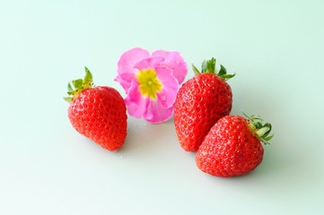 イチゴ