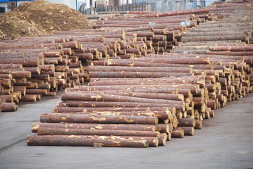 logs