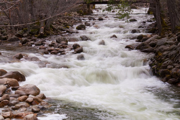 Water Stream at Yosemite