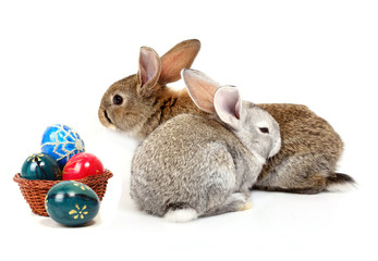 easter rabbits