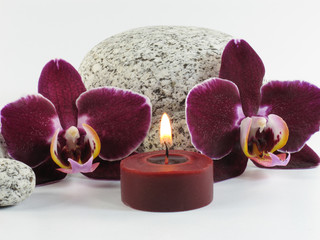 Orchideenblüten, Steine, Kerze