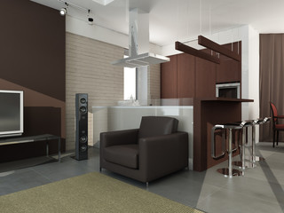 modern interior design (privat apartment 3d rendering)