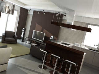 modern interior design (privat apartment 3d rendering)