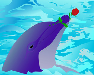 Dolphin and a rose