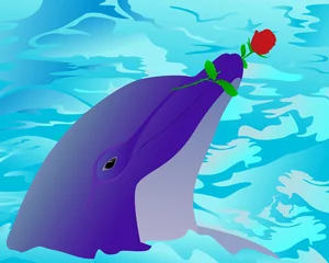  Dolfijn en een roos © maristep