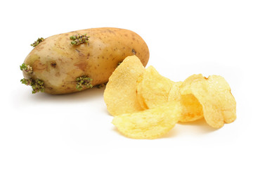 Germinating Potato And Chips