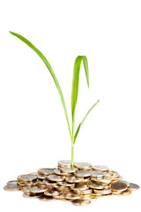 money growth concept