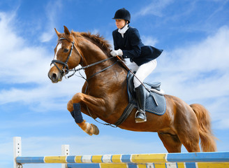 Equestrian jumper - Young girl jumping with sorrel horse - 21385088
