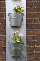 Pink flowers in zinc buckets on red brick wall