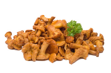 Eingelegte Pfifferlinge