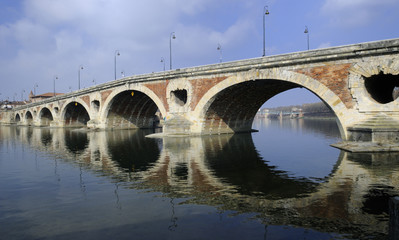 Fototapeta premium le pont neuf a Toulouse