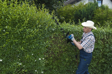 Gartenarbeit, Mann schneidet Hecke