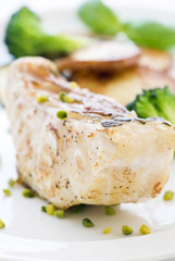 Papageienfisch mit Gem&uuml;se