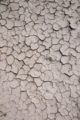 dry background