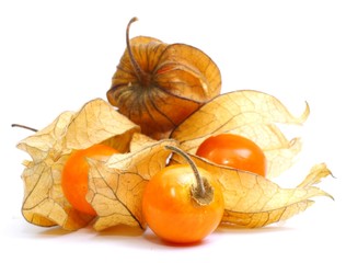 Physalis