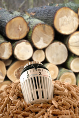 Holzpellets als regenerative Energie mit Heizungsthermostat