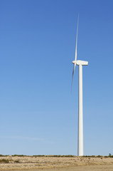 Fototapeta na wymiar lone windmill