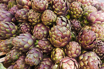 Fototapeta premium artichoke