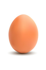 Chicken egg
