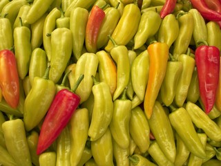 Red on green corn-peppers background