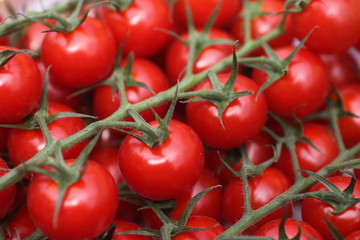 Tomaten