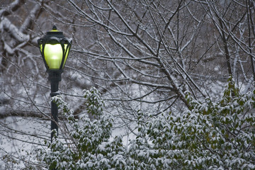 street lamp in a snow storm