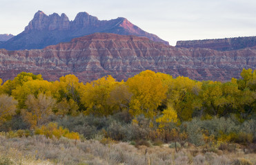 Zion National Park