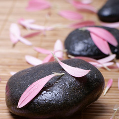 Spa composition with rocks and petals