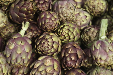 Obraz premium Artischocken