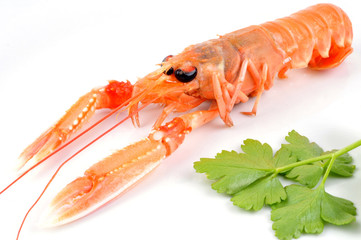La langoustine