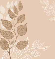 vintage floral background