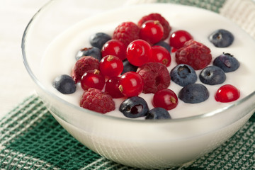 yogurt with wild berries