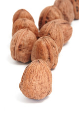 walnuts