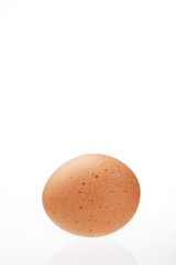 egg on the white background