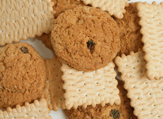 biscuit