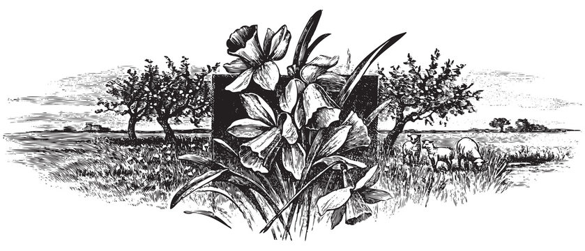 antique engraving (vector)