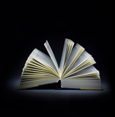 Open book
