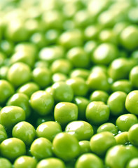 background of green peas
