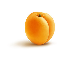 Apricot