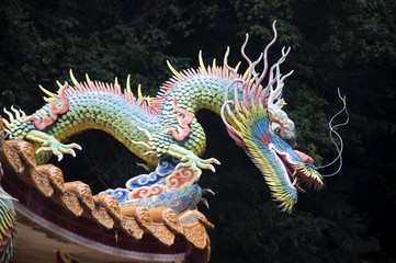 Colorful Dragon, Taiwan
