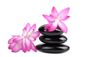 spa stones and pink flowers isolated