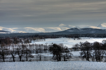 The Spey River in winter