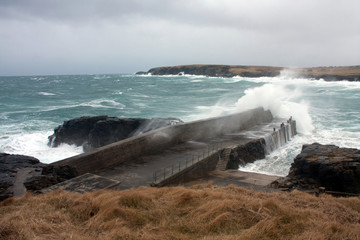Port Ness