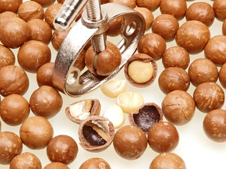 macadamia