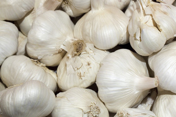 gousse d'ail en vrac