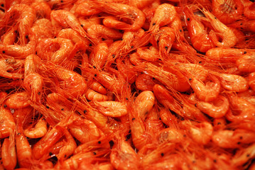 CAMARONES