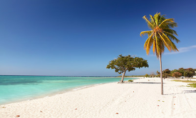 Obraz premium Caribbean Island Paradise